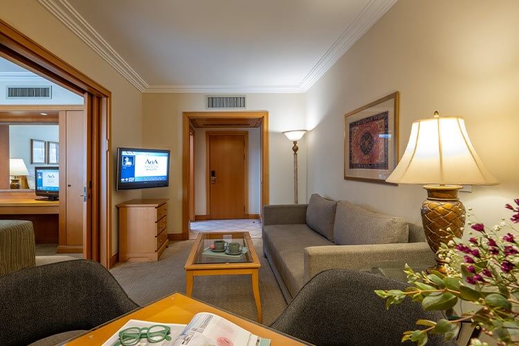 dlxsuite1